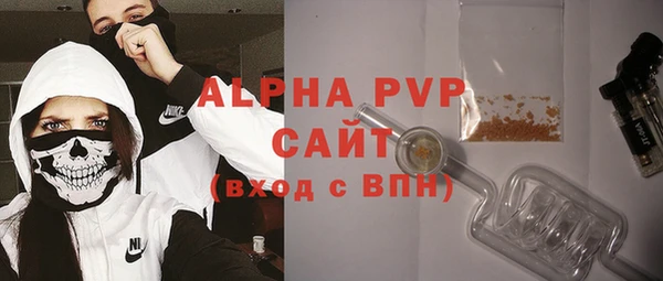 индика Бронницы